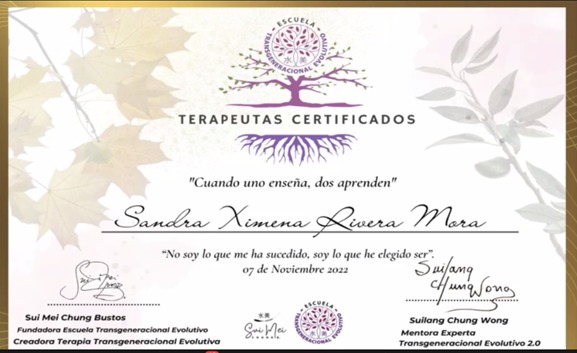 TRANSGENERACIONAL EVOLUTIVO, TAROT TERAPEUTICO, PROYECTO SENTIDO